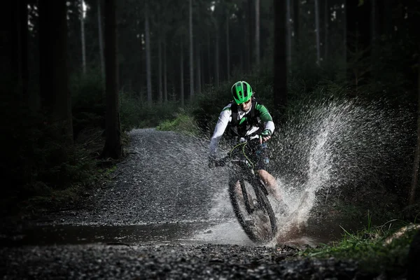 Гірський велосипедист перевищує лісовий потік . — стокове фото