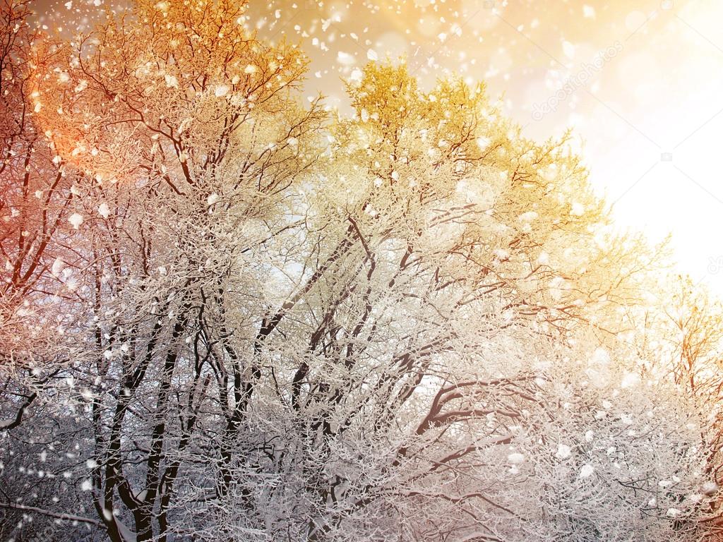 Winter background with falling snow