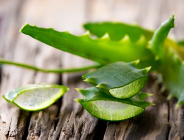 aloe vera yaprağı