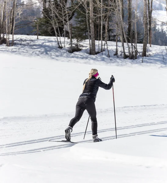 Ski de fond — Photo