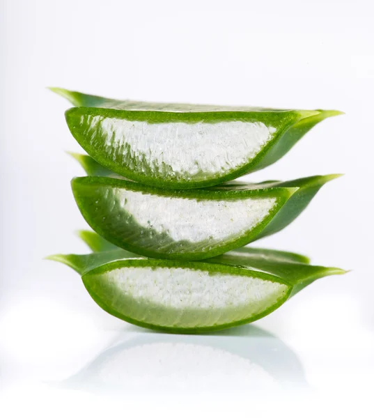 Blätter der Aloe Vera — Stockfoto