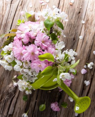 arka plan bahar çiçekleri