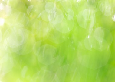 su damlacığı ile taze yeşil çimen