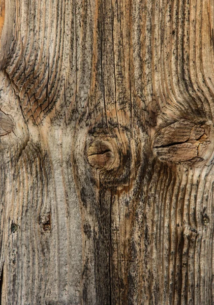 Modello in legno — Foto Stock