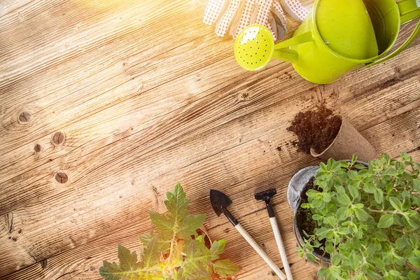 Herramientas de jardinería al aire libre y hierbas —  Fotos de Stock