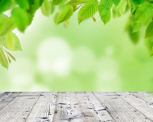 Leerer Holzdecktisch mit grünen Blättern — Stockfoto