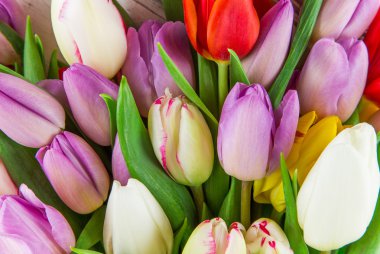 Ahşap arka planda laleler