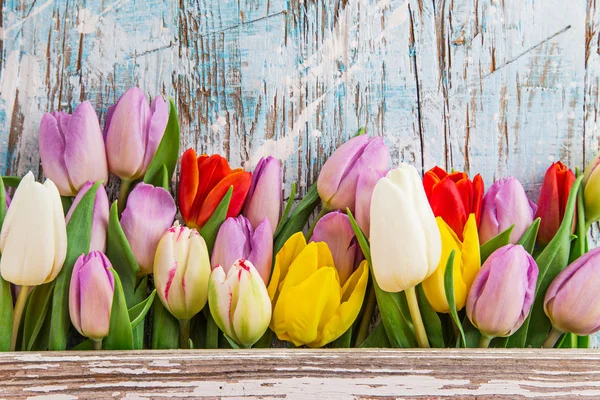 Tulpen op houten ondergrond — Stockfoto