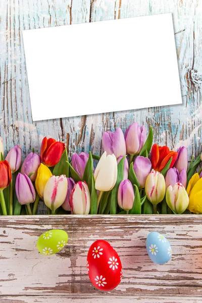Tulips and easter eggs on wooden background — Stock Photo, Image