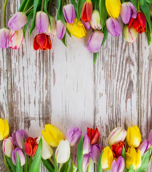 Tulipas em fundo de madeira — Fotografia de Stock