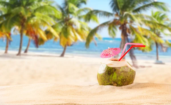 Summer coconut cocktail on the beach — Stock Photo, Image