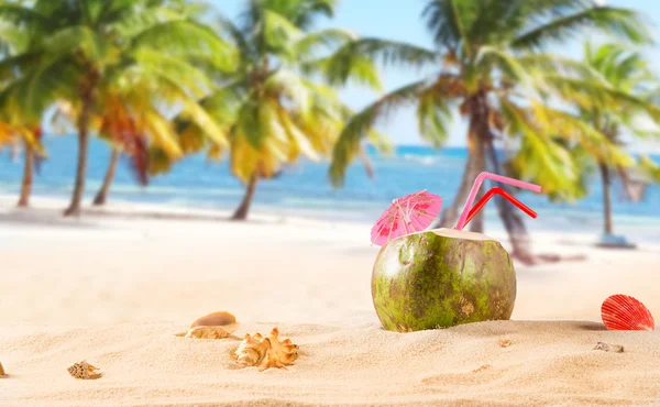 Summer coconut cocktail on the beach — Stock Photo, Image