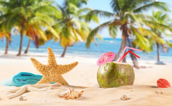 Summer coconut cocktail on the beach — Stock Photo, Image