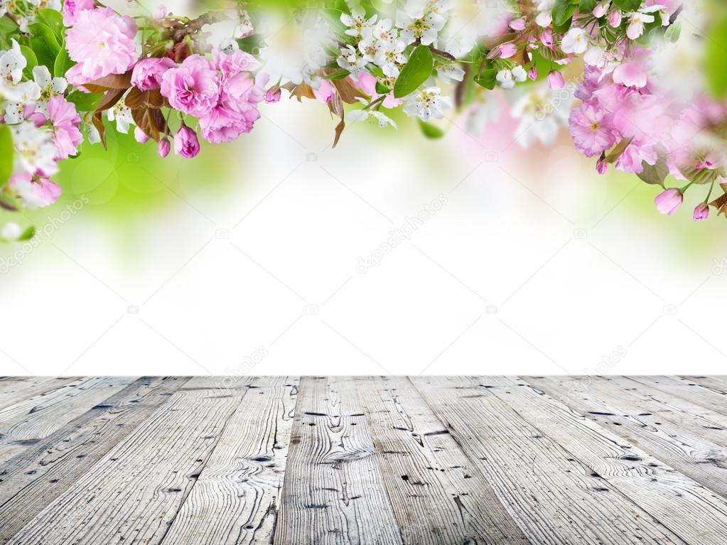 Spring blossoms background