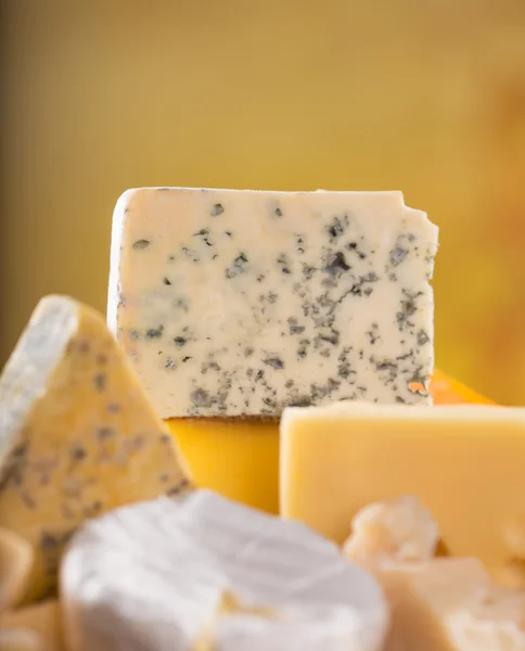 Various types of cheese — Stock Photo, Image