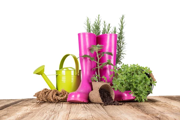 Outdoor gardening tools and herbs — Stock Photo, Image