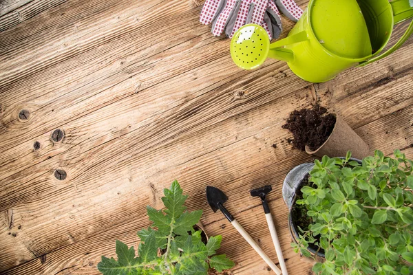 Herramientas de jardinería al aire libre y hierbas — Foto de Stock