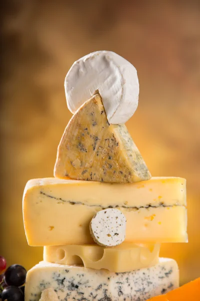 Various types of cheese — Stock Photo, Image