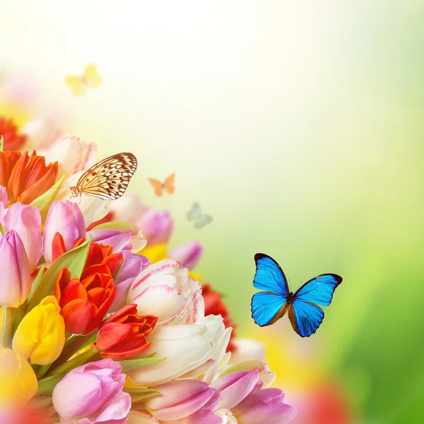 Mooi boeket tulpen. — Stockfoto