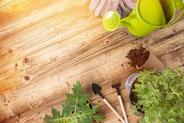 Attrezzi da giardinaggio all'aperto ed erbe — Foto Stock