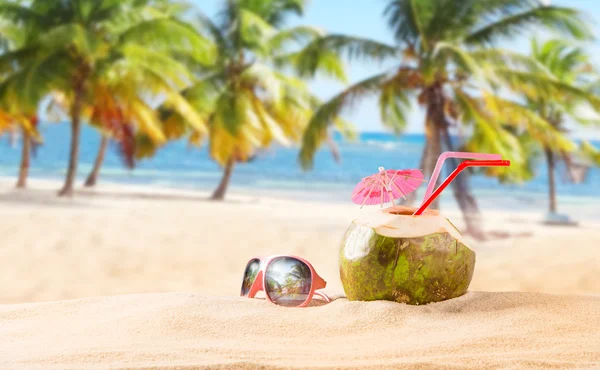 Cocktail de coco de verão na praia — Fotografia de Stock