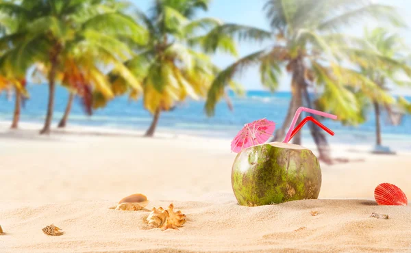 Cocktail de noix de coco d'été sur la plage — Photo