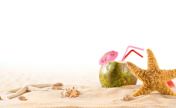 Καλοκαίρι καρύδας κοκτέιλ στην παραλία — Φωτογραφία Αρχείου