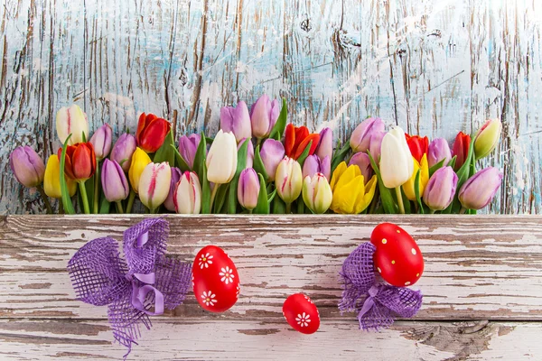 Beautiful tulips background — Stock Photo, Image