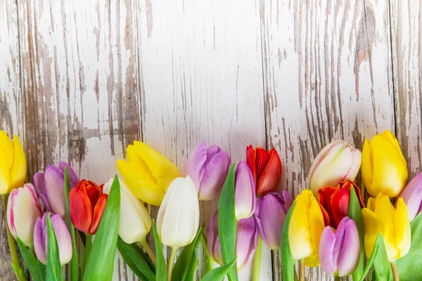 Piękne tulipany tło — Zdjęcie stockowe