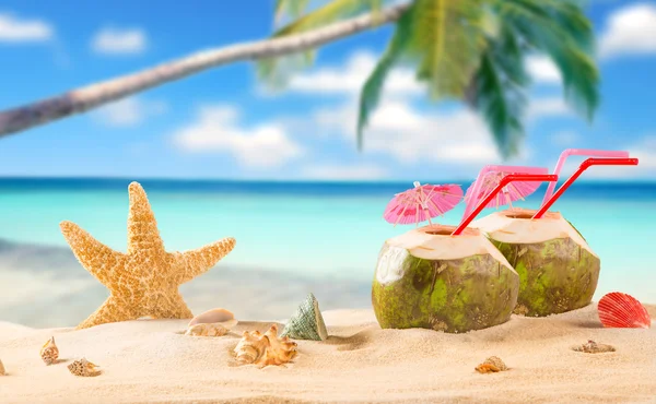 Summer coconut cocktail on the beach — Stock Photo, Image