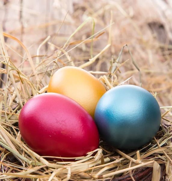 Easter eggs on wooden background — Stock Photo, Image