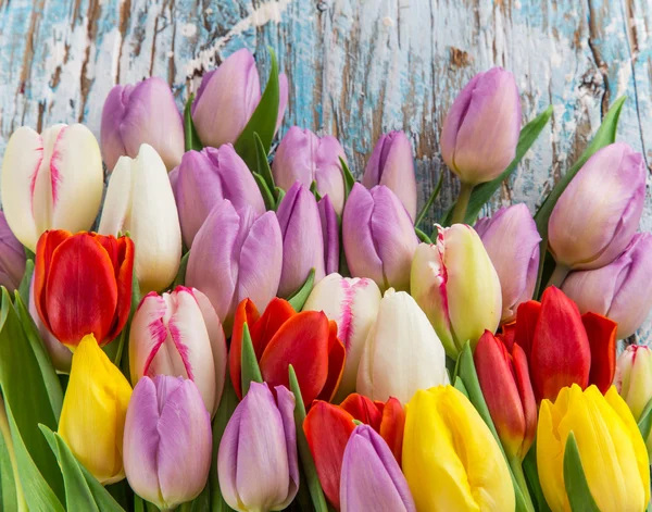 Mooie tulpen achtergrond — Stockfoto