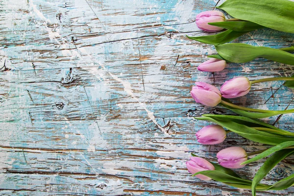 Красиві тюльпани фону — стокове фото