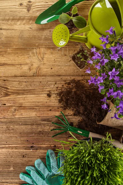 Herramientas y plantas de jardinería al aire libre . — Foto de Stock