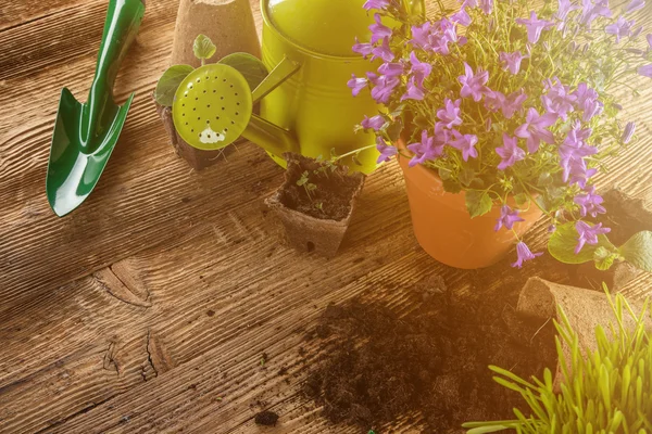 Alat berkebun luar ruangan dan tanaman . — Stok Foto