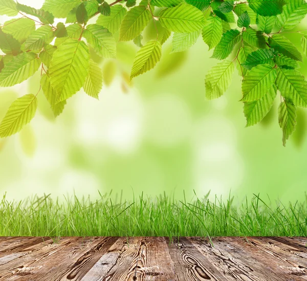 Wooden table with green grass — Stock Photo, Image