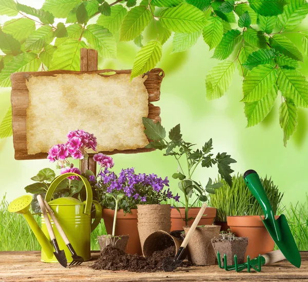 야외 정원 도구 및 식물. — 스톡 사진