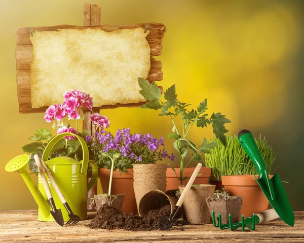 Outdoor gardening tools and plants. — Stock Photo, Image