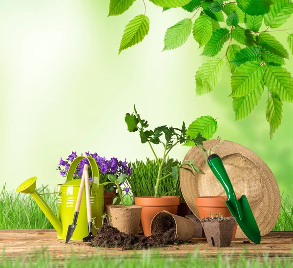 Buiten tuingereedschap en planten. — Stockfoto