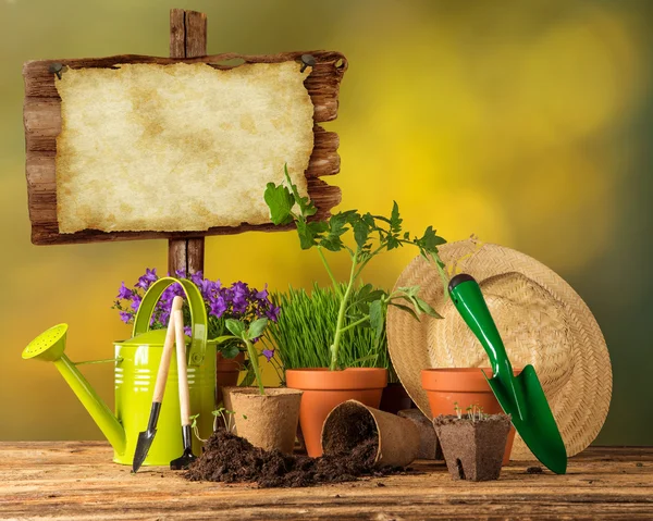 Buiten tuingereedschap en planten. — Stockfoto