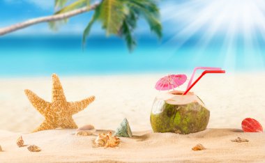 Yaz Hindistan cevizi içmek sahilde