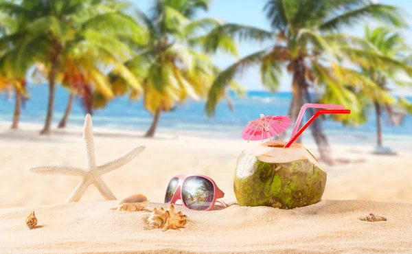 夏天在沙滩上的椰子喝 — 图库照片