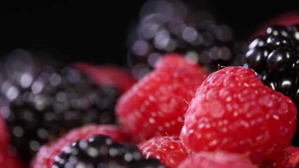 Frische Beeren auf schwarzem Hintergrund. — Stockvideo