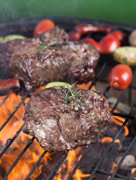 Bife de carne na grelha do jardim — Fotografia de Stock