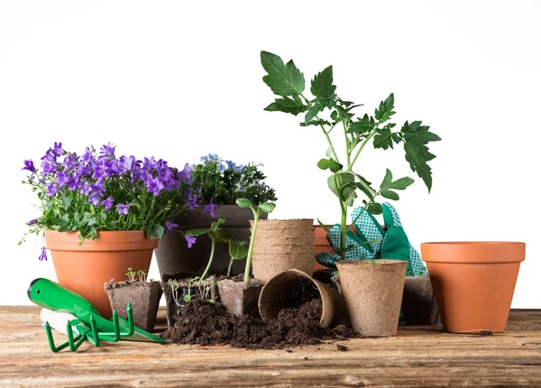 Buiten tuingereedschap en planten. — Stockfoto