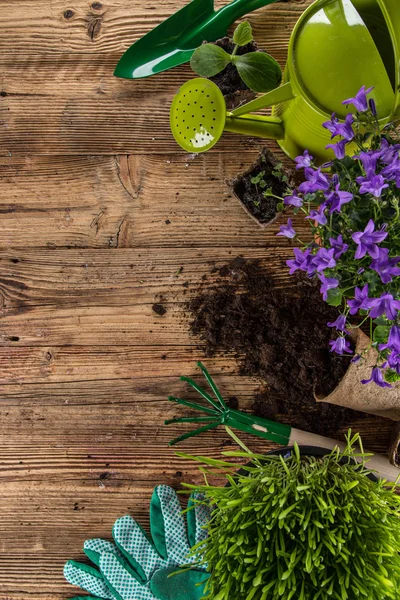 Outdoor gardening tools and plants. — Stock Photo, Image