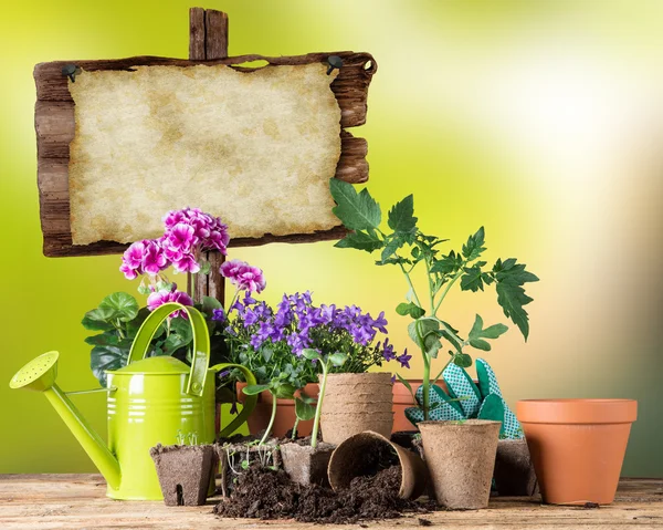 Outdoor gardening tools and plants. — Stock Photo, Image