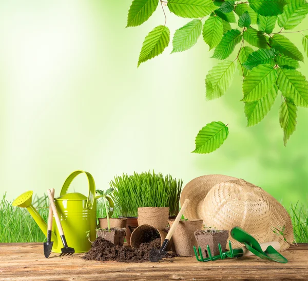 Buiten tuingereedschap en planten. — Stockfoto