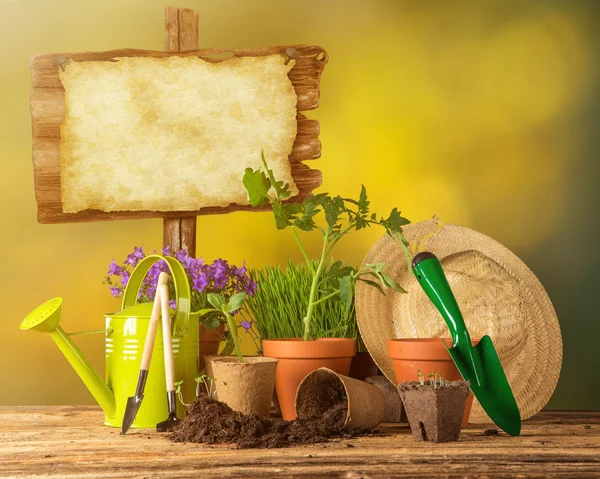 Herramientas y plantas de jardinería al aire libre . —  Fotos de Stock