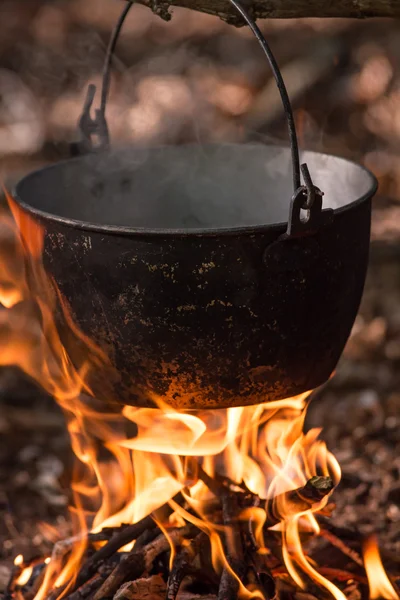 Brasa i vår skog — Stockfoto